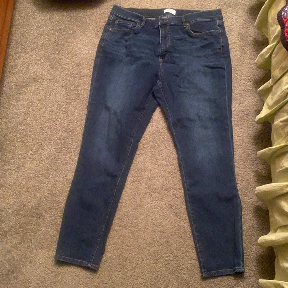 The Loft Gently Used Denim Jeans in Great Condition